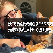 长飞光纤光缆拟2535万元收购武汉长飞通用电缆20%股权（图4）