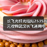 长飞光纤光缆拟2535万元收购武汉长飞通用电缆20%股权（图2）