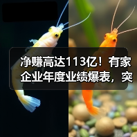 净赚高达113亿!有家企业年度业绩爆表,突破百亿大关(图1) 净赚高达113亿!有家企业年度业绩爆表,突破百亿大关(图1)