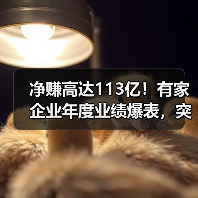 净赚高达113亿!有家企业年度业绩爆表,突破百亿大关(图3) 净赚高达113亿!有家企业年度业绩爆表,突破百亿大关(图3)