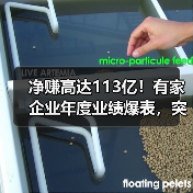 净赚高达113亿!有家企业年度业绩爆表,突破百亿大关(图4) 净赚高达113亿!有家企业年度业绩爆表,突破百亿大关(图4)