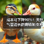 成本可下降90%！天然气管道长距离输氢技术重大突破（图3）