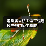 港珠澳大桥主体工程通过三部门竣工验收！（图1）