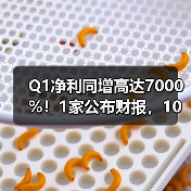 Q1净利同增高达7000%!1家公布财报,10家预告(图3) Q1净利同增高达7000%!1家公布财报,10家预告(图3)