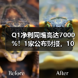 Q1净利同增高达7000%!1家公布财报,10家预告(图4) Q1净利同增高达7000%!1家公布财报,10家预告(图4)