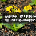 强强联手！徐工机械-宝钢股份联合实验室揭牌（图3）
