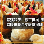 强强联手！徐工机械-宝钢股份联合实验室揭牌（图4）