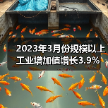 2023年3月份规模以上工业增加值增长3.9%(图3) 2023年3月份规模以上工业增加值增长3.9%(图3)