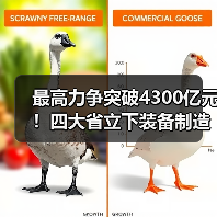 最高力争突破4300亿元!四大省立下装备制造业flag(图2) 最高力争突破4300亿元!四大省立下装备制造业flag(图2)