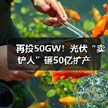 再投50GW!光伏“卖铲人”砸50亿扩产(图1) 再投50GW!光伏“卖铲人”砸50亿扩产(图1)