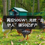 再投50GW!光伏“卖铲人”砸50亿扩产(图2) 再投50GW!光伏“卖铲人”砸50亿扩产(图2)