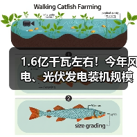 1.6亿千瓦左右!今年风电、光伏发电装机规模再提升(图2) 1.6亿千瓦左右!今年风电、光伏发电装机规模再提升(图2)
