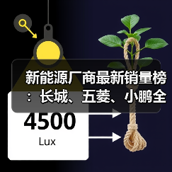 新能源厂商最新销量榜:长城、五菱、小鹏全部接近腰斩(图2) 新能源厂商最新销量榜:长城、五菱、小鹏全部接近腰斩(图2)