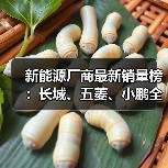 新能源厂商最新销量榜:长城、五菱、小鹏全部接近腰斩(图1) 新能源厂商最新销量榜:长城、五菱、小鹏全部接近腰斩(图1)