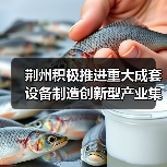 荆州积极推进重大成套设备制造创新型产业集群建设（图1）