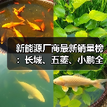 新能源厂商最新销量榜:长城、五菱、小鹏全部接近腰斩(图3) 新能源厂商最新销量榜:长城、五菱、小鹏全部接近腰斩(图3)
