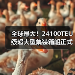 全球最大！24100TEU级超大型集装箱船正式交付（图2）