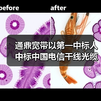 通鼎宽带以第一中标人中标中国电信干线光缆线路光缆接头盒集采（图1）