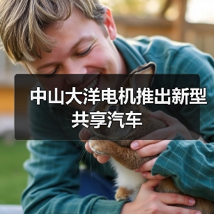 中山大洋电机推出新型共享汽车（图4）