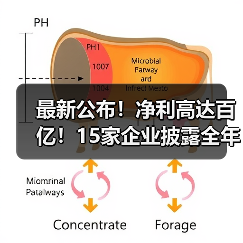 最新公布!净利高达百亿!15家企业披露全年度业绩(图3) 最新公布!净利高达百亿!15家企业披露全年度业绩(图3)