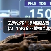最新公布!净利高达百亿!15家企业披露全年度业绩(图2) 最新公布!净利高达百亿!15家企业披露全年度业绩(图2)