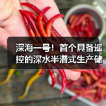 深海一号!首个具备遥控的深水半潜式生产储油平台(图2) 深海一号!首个具备遥控的深水半潜式生产储油平台(图2)