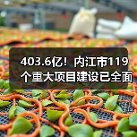 403.6亿!内江市119个重大项目建设已全面开启(图2) 403.6亿!内江市119个重大项目建设已全面开启(图2)