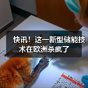 快讯!这一新型储能技术在欧洲杀疯了(图1) 快讯!这一新型储能技术在欧洲杀疯了(图1)