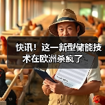 快讯!这一新型储能技术在欧洲杀疯了(图2) 快讯!这一新型储能技术在欧洲杀疯了(图2)