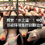 探索“水之道”!中国节能环保集团创新治水模式(图4) 探索“水之道”!中国节能环保集团创新治水模式(图4)