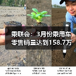 乘联会：3月份乘用车零售销量达到158.7万辆（图4）