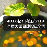 403.6亿!内江市119个重大项目建设已全面开启(图3) 403.6亿!内江市119个重大项目建设已全面开启(图3)
