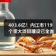 403.6亿!内江市119个重大项目建设已全面开启(图4) 403.6亿!内江市119个重大项目建设已全面开启(图4)