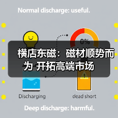 横店东磁:磁材顺势而为 开拓高端市场(图4) 横店东磁:磁材顺势而为 开拓高端市场(图4)