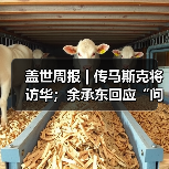 盖世周报 | 传马斯克将访华;余承东回应“问界”模式(图2) 盖世周报 | 传马斯克将访华;余承东回应“问界”模式(图2)