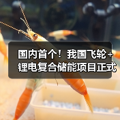 国内首个！我国飞轮+锂电复合储能项目正式投入运行（图3）
