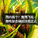 国内首个！我国飞轮+锂电复合储能项目正式投入运行（图4）