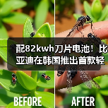 配82kwh刀片电池!比亚迪在韩国推出首款轻卡(图1) 配82kwh刀片电池!比亚迪在韩国推出首款轻卡(图1)