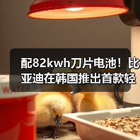 配82kwh刀片电池!比亚迪在韩国推出首款轻卡(图3) 配82kwh刀片电池!比亚迪在韩国推出首款轻卡(图3)
