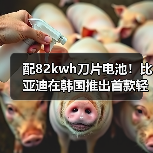 配82kwh刀片电池!比亚迪在韩国推出首款轻卡(图4) 配82kwh刀片电池!比亚迪在韩国推出首款轻卡(图4)