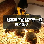 新基建下的新产品――打桩机器人(图4) 新基建下的新产品――打桩机器人(图4)