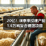 20亿!璞泰来投建产能1.6万吨复合铜箔项目(图4) 20亿!璞泰来投建产能1.6万吨复合铜箔项目(图4)