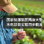 国家能源集团两座大型水电项目实现同步截流!(图3) 国家能源集团两座大型水电项目实现同步截流!(图3)