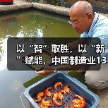 以“智”取胜,以“新”赋能,中国制造业13年连冠(图4) 以“智”取胜,以“新”赋能,中国制造业13年连冠(图4)