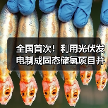 全国首次!利用光伏发电制成固态储氢项目并网发电(图4) 全国首次!利用光伏发电制成固态储氢项目并网发电(图4)