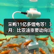 采购11亿多锂电等!3月:比亚迪重要动向汇总(图4) 采购11亿多锂电等!3月:比亚迪重要动向汇总(图4)