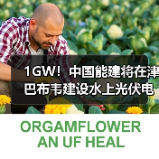1GW!中国能建将在津巴布韦建设水上光伏电站(图4) 1GW!中国能建将在津巴布韦建设水上光伏电站(图4)