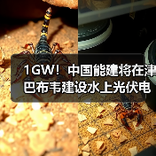 1GW!中国能建将在津巴布韦建设水上光伏电站(图3) 1GW!中国能建将在津巴布韦建设水上光伏电站(图3)