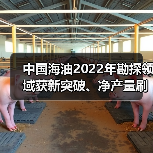 中国海油2022年勘探领域获新突破、净产量刷新纪录(图4) 中国海油2022年勘探领域获新突破、净产量刷新纪录(图4)