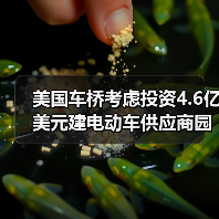 美国车桥考虑投资4.6亿美元建电动车供应商园区(图3) 美国车桥考虑投资4.6亿美元建电动车供应商园区(图3)